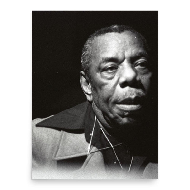 Champion Jack Dupree poster print, in size 18x24 inches.