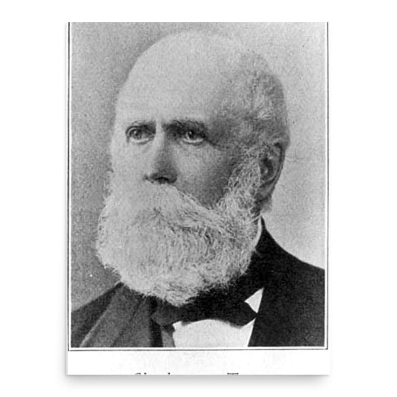 Charlemagne Tower poster print, in size 18x24 inches.