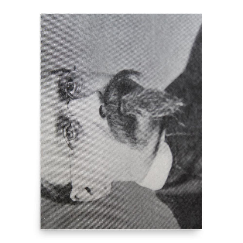 Charles-Philippe Robin poster print, in size 18x24 inches.