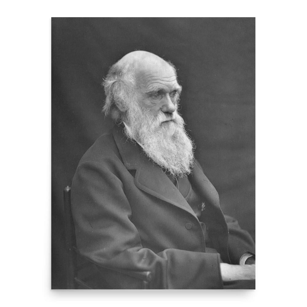 Charles Darwin poster print, in size 18x24 inches.