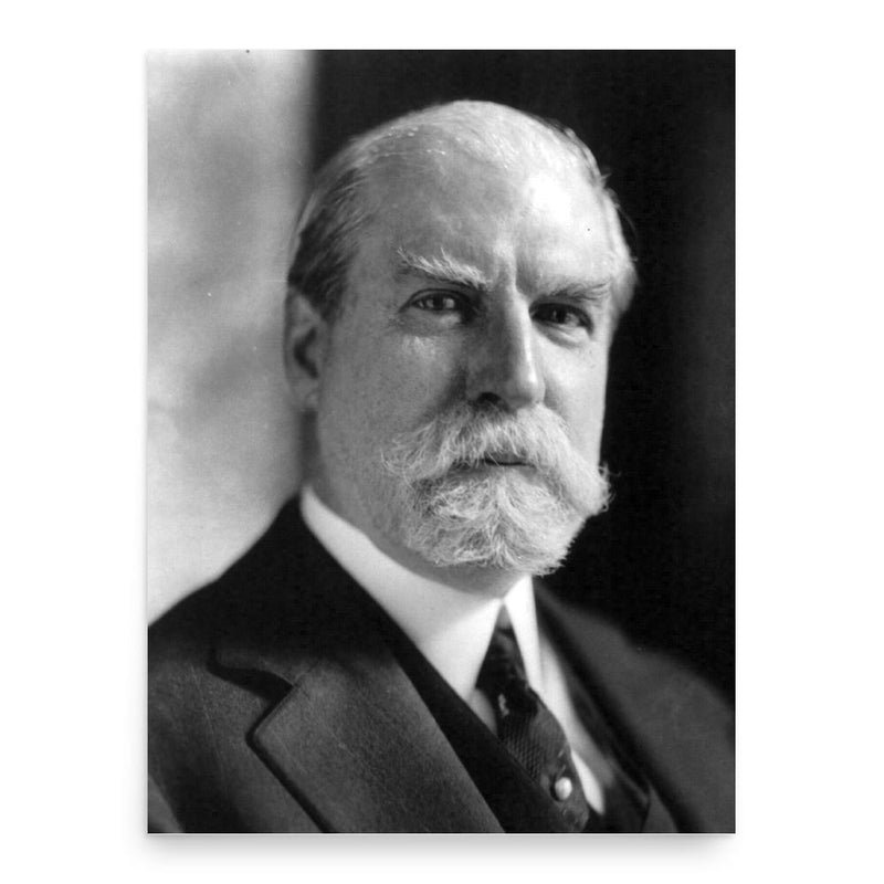 Charles Evans Hughes poster print, in size 18x24 inches.