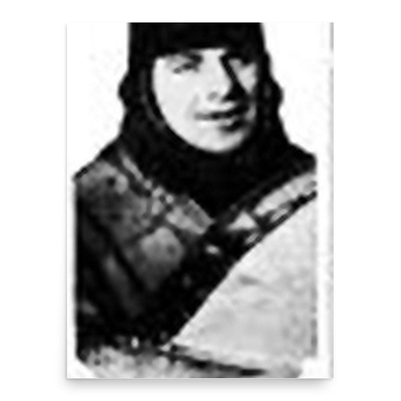 Charles Franklin Niles poster print, in size 18x24 inches.