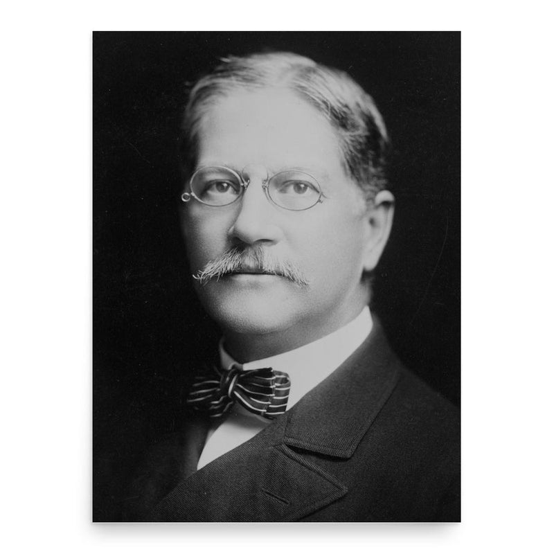 Charles Herbert Allen poster print, in size 18x24 inches.