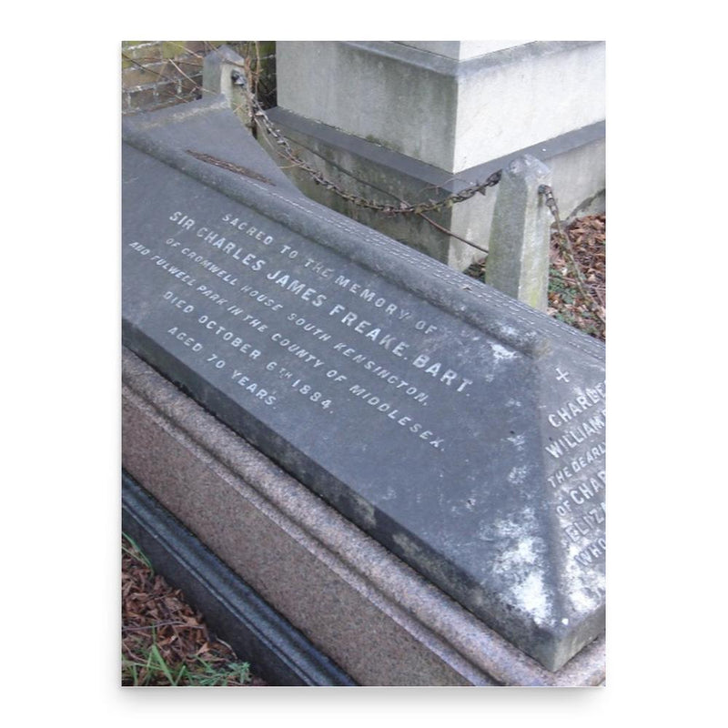 Charles James Freake poster print, in size 18x24 inches.