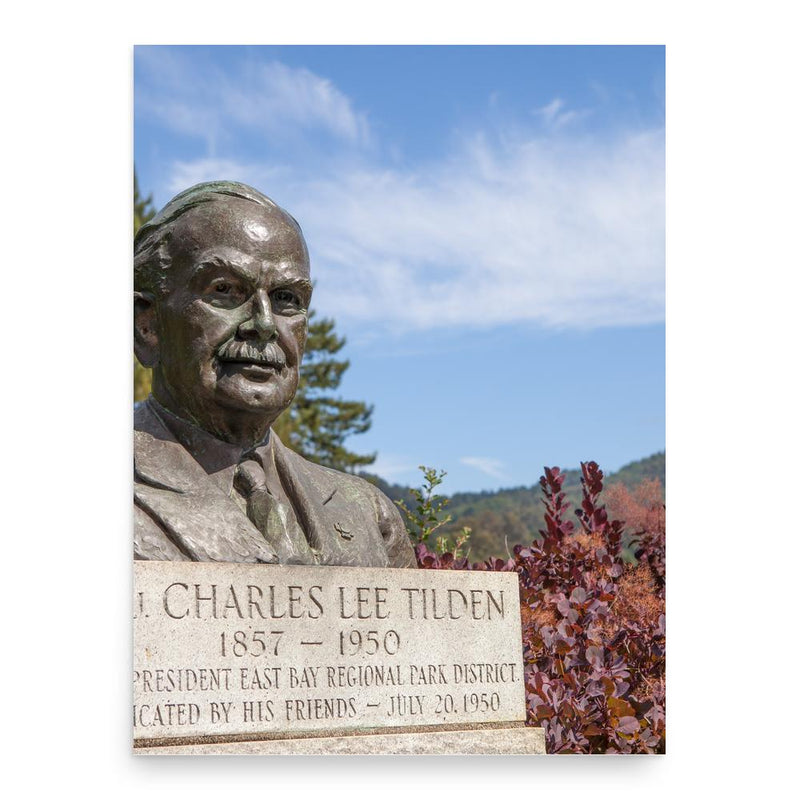 Charles Lee Tilden poster print, in size 18x24 inches.