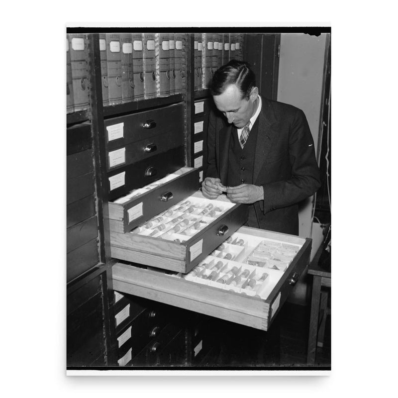 Charles Lewis Gazin poster print, in size 18x24 inches.