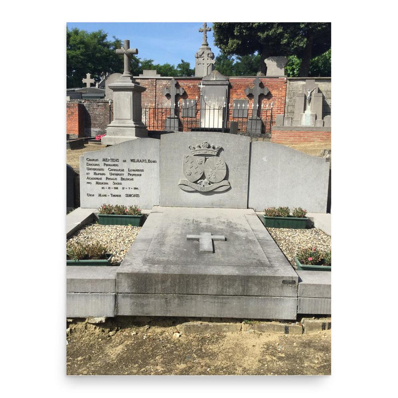 Charles Mertens de Wilmars poster print, in size 18x24 inches.