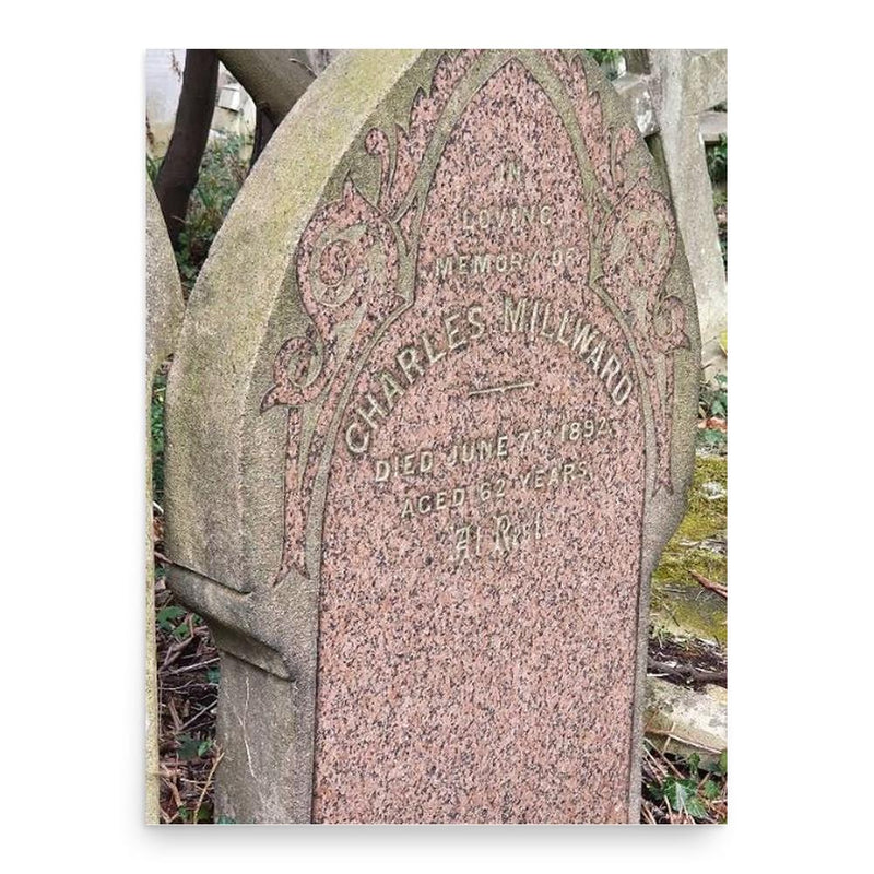 Charles Millward poster print, in size 18x24 inches.