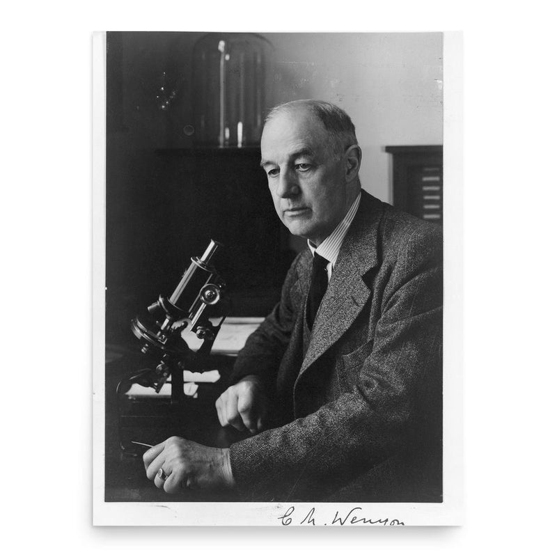 Charles Morley Wenyon poster print, in size 18x24 inches.