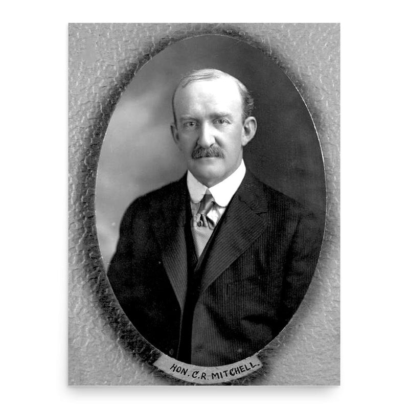 Charles Richmond Mitchell poster print, in size 18x24 inches.