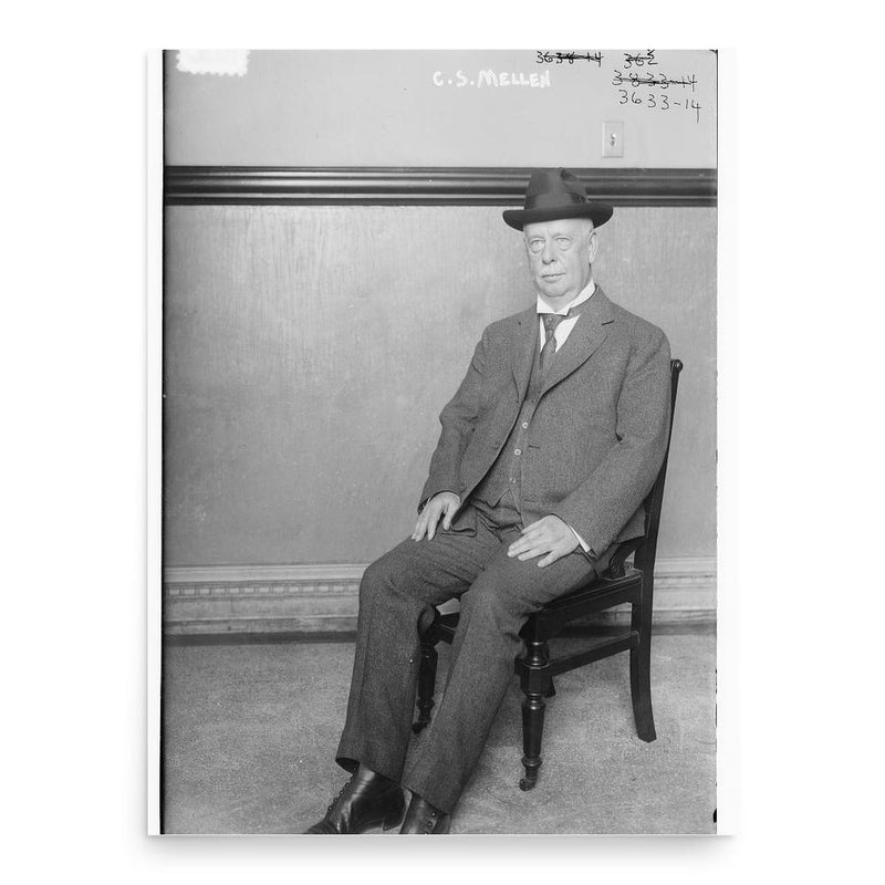 Charles Sanger Mellen poster print, in size 18x24 inches.