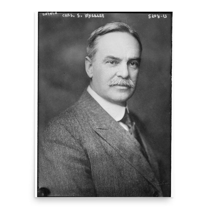 Charles Stetson Wheeler poster print, in size 18x24 inches.