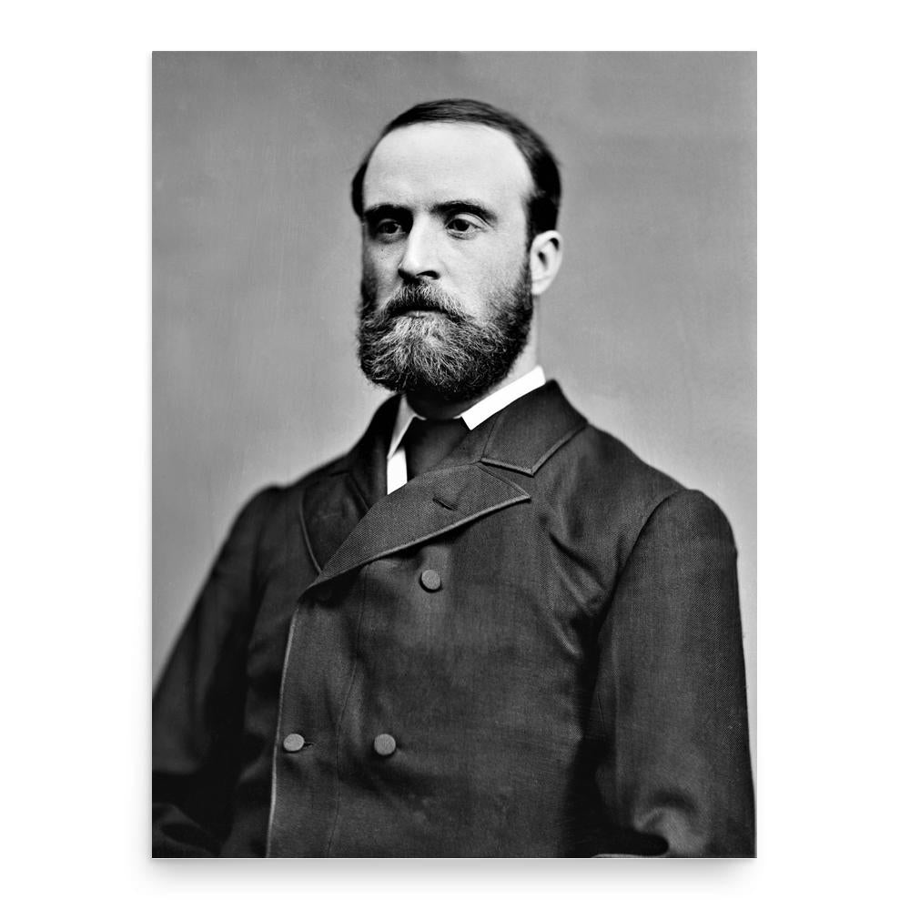 Charles Stewart Parnell poster print, in size 18x24 inches.
