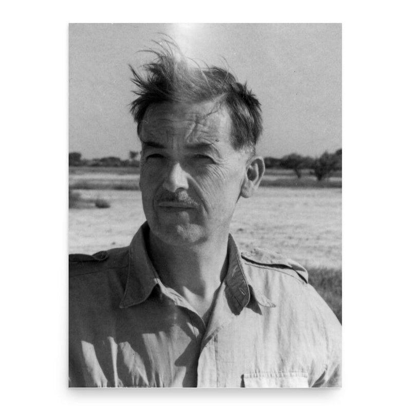 Charles Thurstan Shaw poster print, in size 18x24 inches.