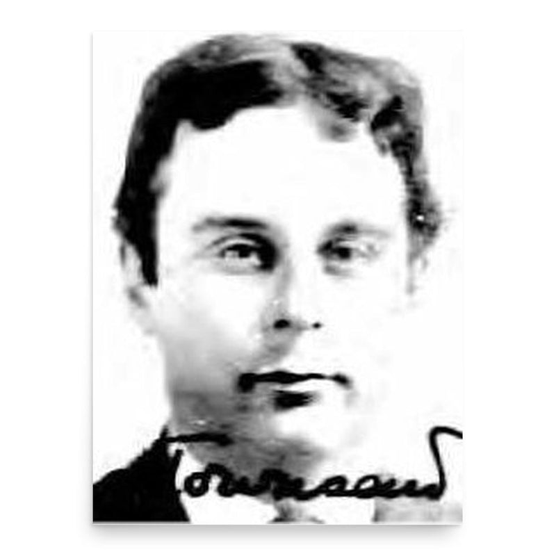 Charles Townsend Ludington poster print, in size 18x24 inches.