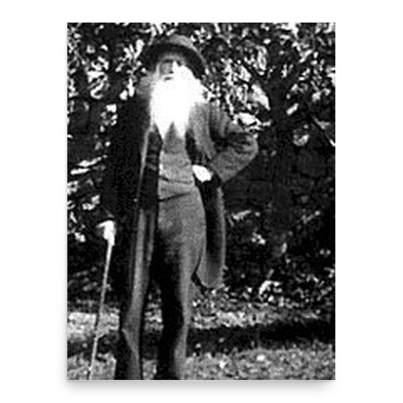 Charles Victor Naudin poster print, in size 18x24 inches.