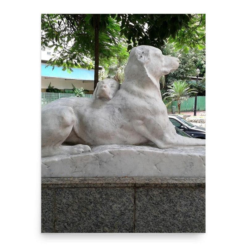 Charles Virion poster print, in size 18x24 inches.