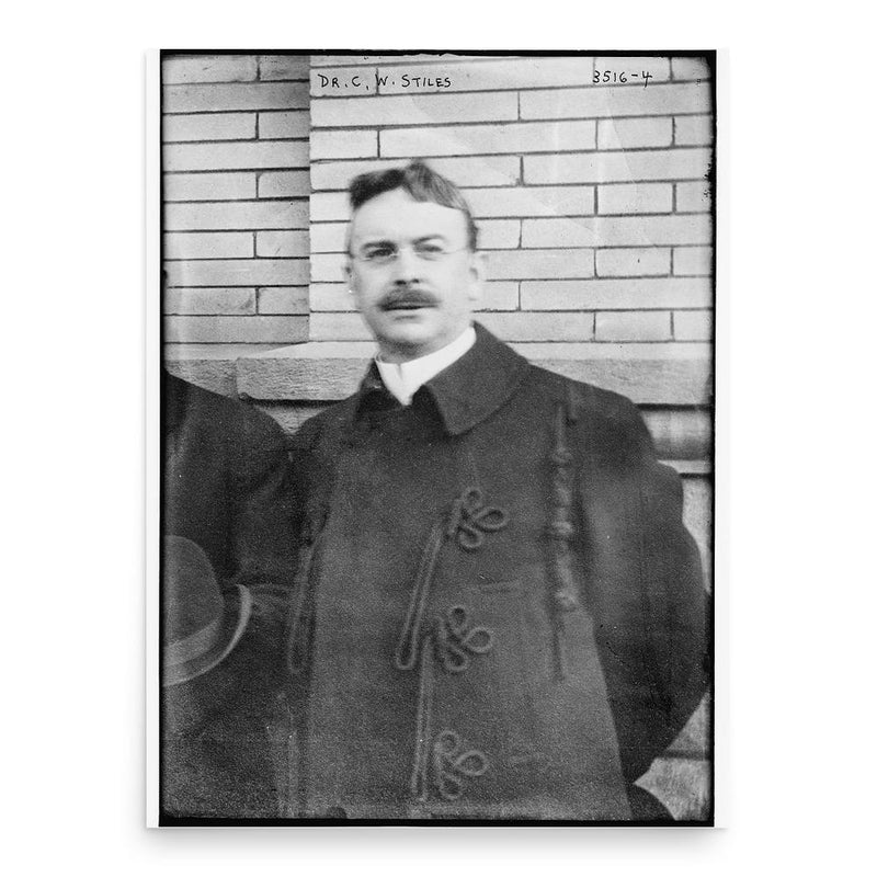 Charles Wardell Stiles poster print, in size 18x24 inches.