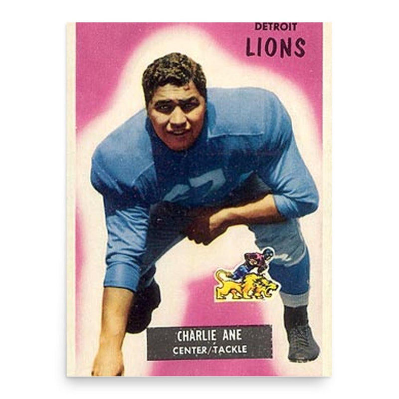 Charley Ane poster print, in size 18x24 inches.