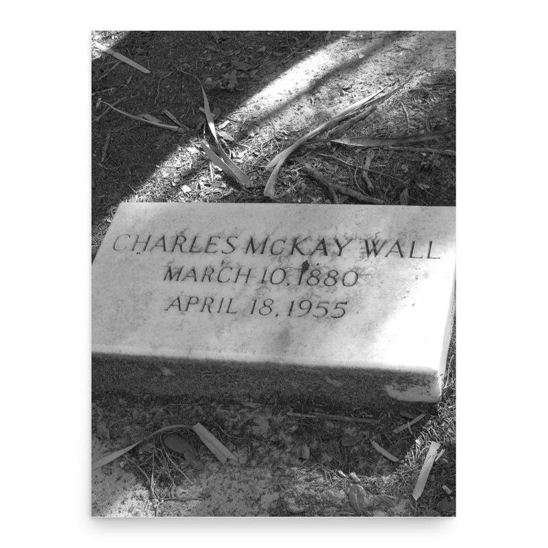 Charlie Wall poster print, in size 18x24 inches.