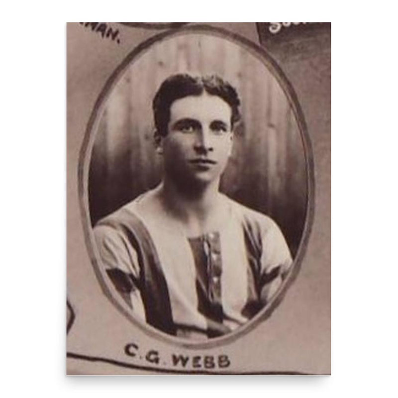 Charlie Webb poster print, in size 18x24 inches.