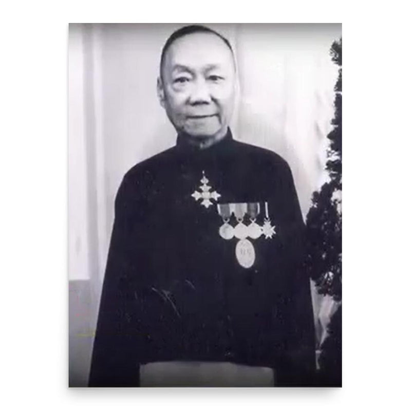 Chau Tsun-nin poster print, in size 18x24 inches.