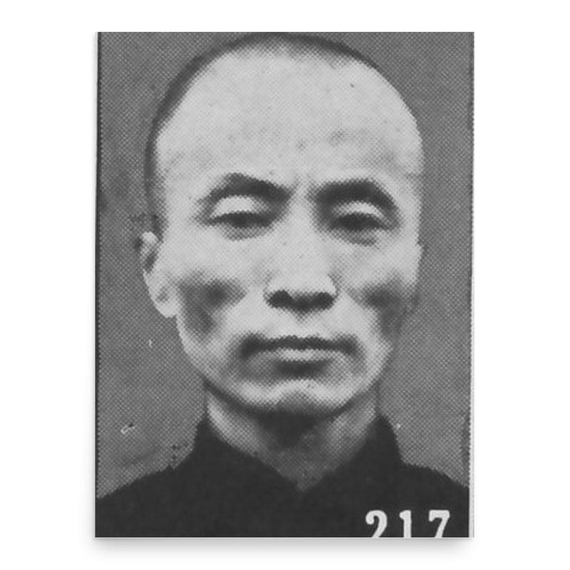 Chen Guofu poster print, in size 18x24 inches.