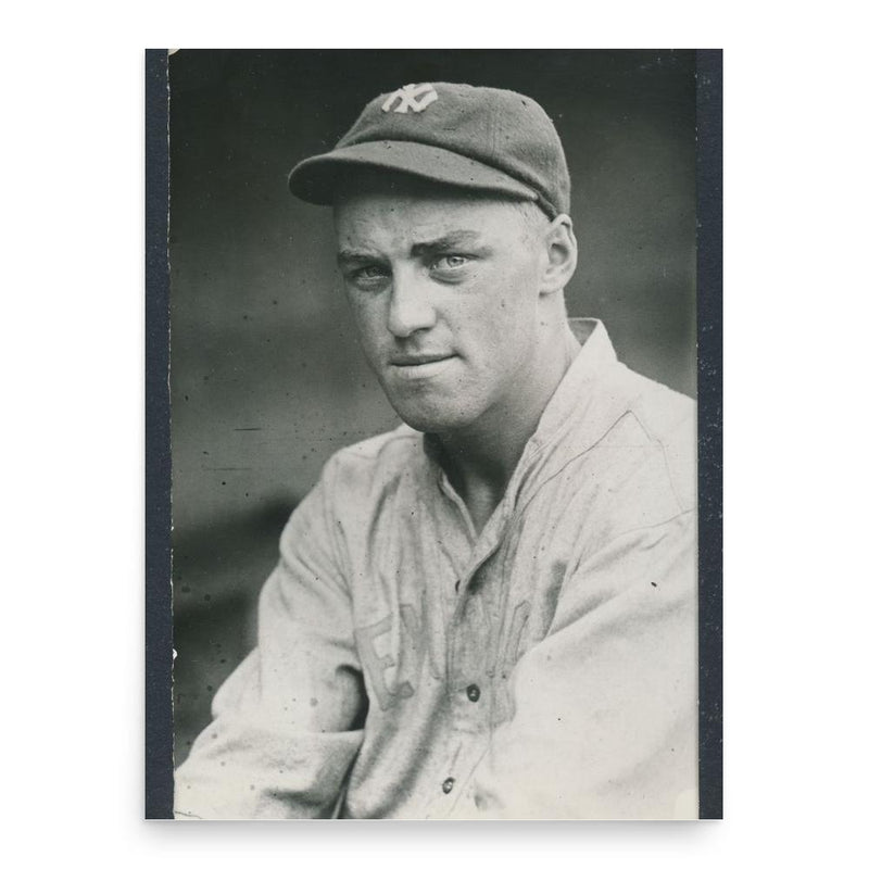 Chicken Hawks poster print, in size 18x24 inches.