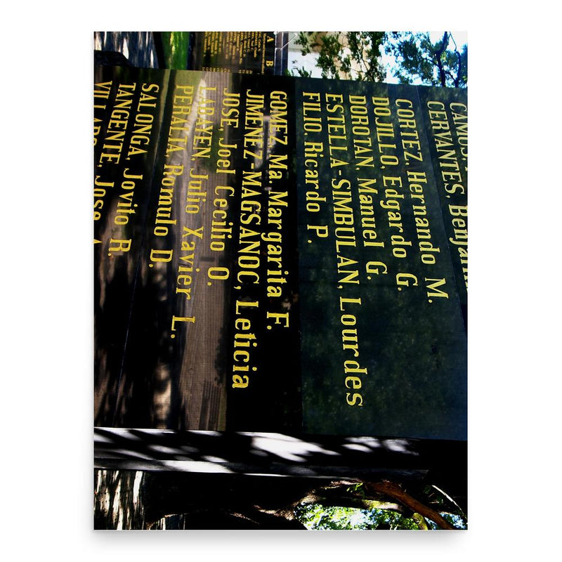 Chit Estella poster print, in size 18x24 inches.