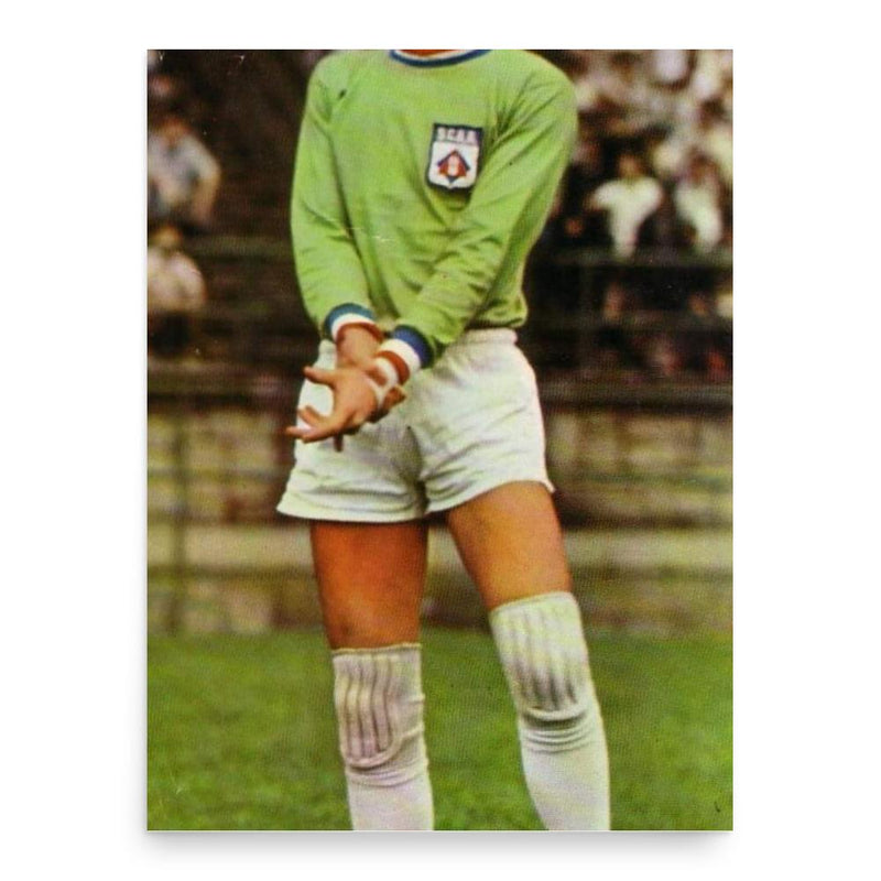 Chow Chee Keong poster print, in size 18x24 inches.