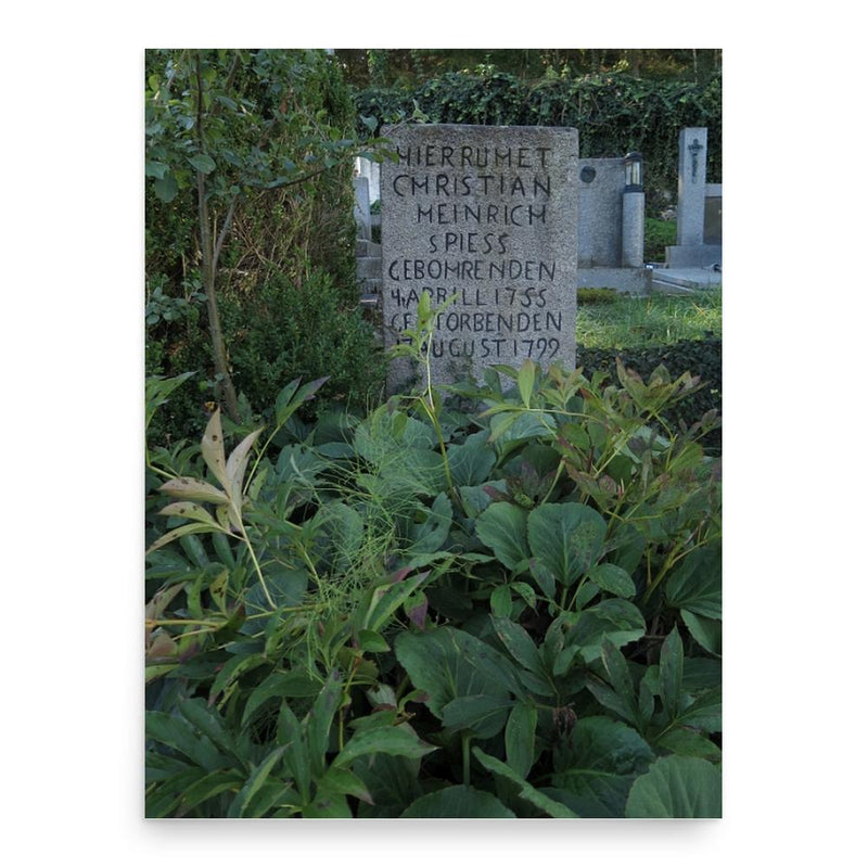 Christian Heinrich Spiess poster print, in size 18x24 inches.
