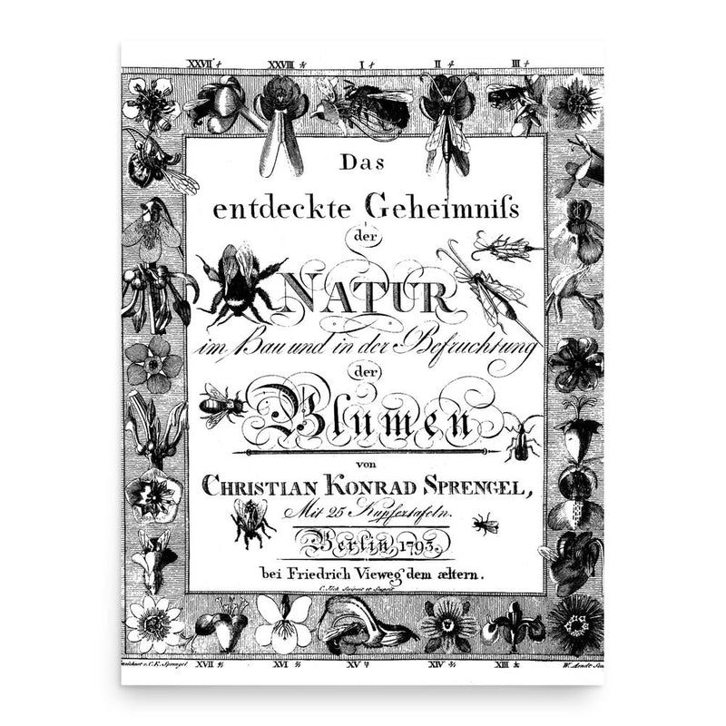 Christian Konrad Sprengel poster print, in size 18x24 inches.