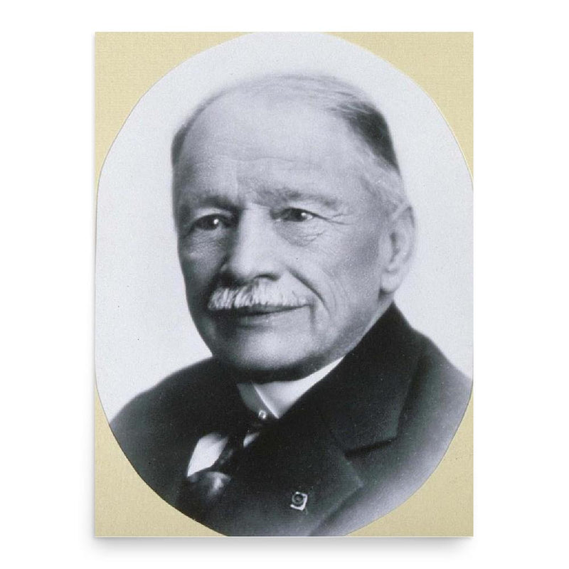 Christian Pfister poster print, in size 18x24 inches.