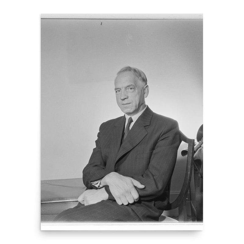 Christian Stray poster print, in size 18x24 inches.