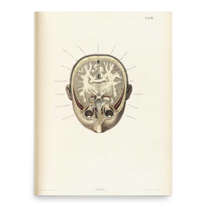 Christian Wilhelm Braune poster print, in size 18x24 inches.