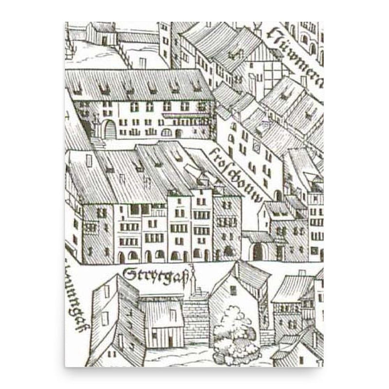 Christoph Froschauer poster print, in size 18x24 inches.