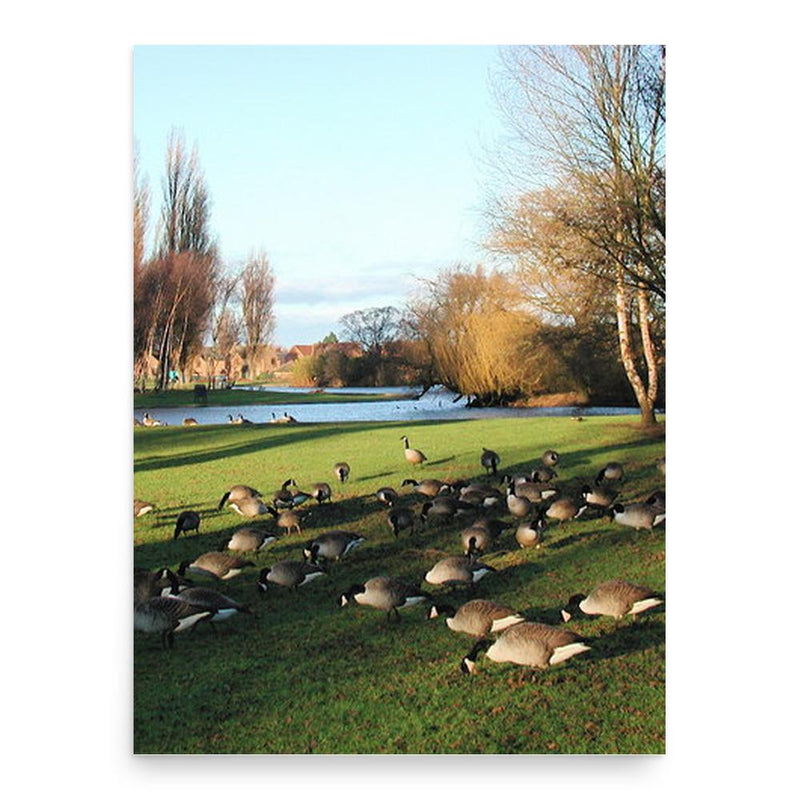 Christopher Pickering poster print, in size 18x24 inches.