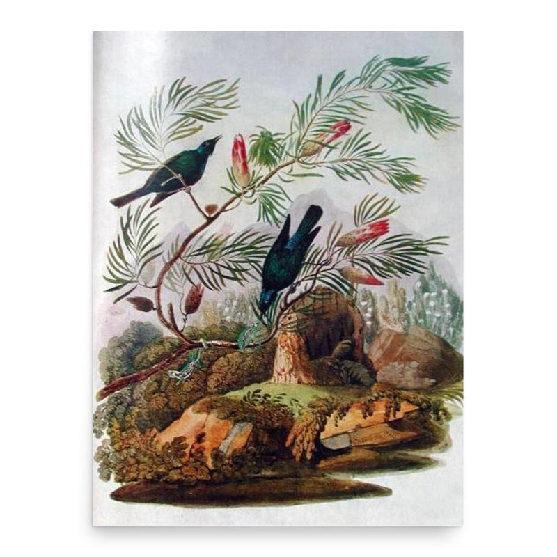 Christopher Webb Smith poster print, in size 18x24 inches.