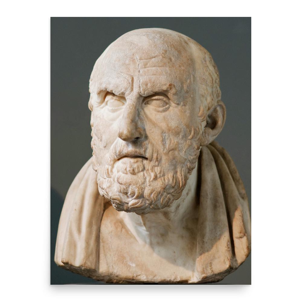 Chrysippus poster print, in size 18x24 inches.