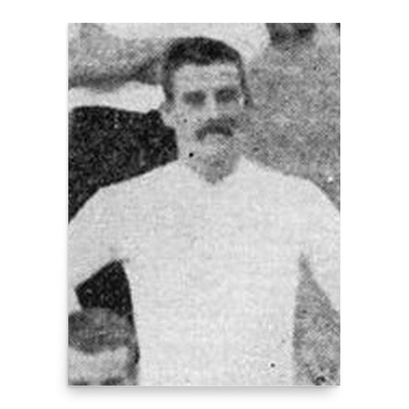 Chubb Vigne poster print, in size 18x24 inches.