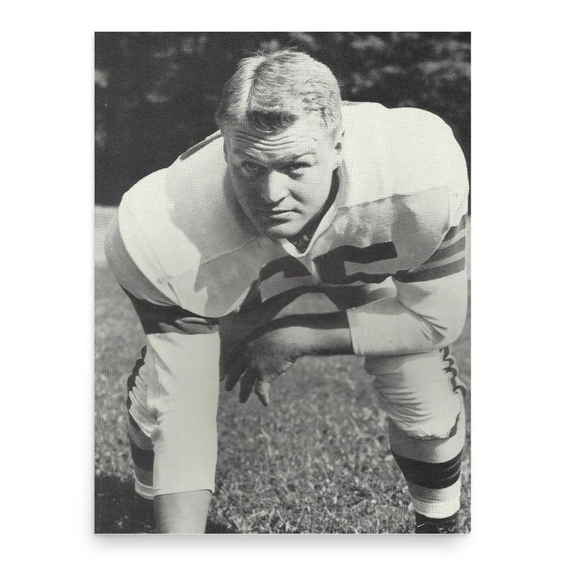Chuck Noll poster print, in size 18x24 inches.