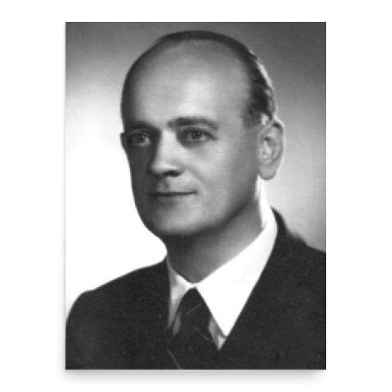 Ciril Kotnik poster print, in size 18x24 inches.