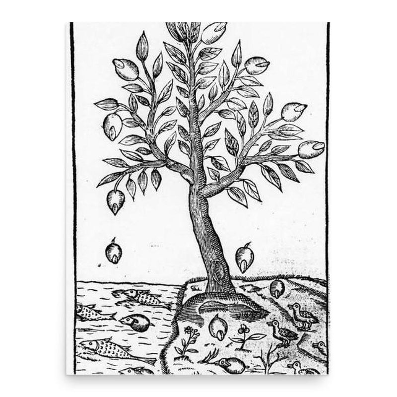 Claude Duret poster print, in size 18x24 inches.