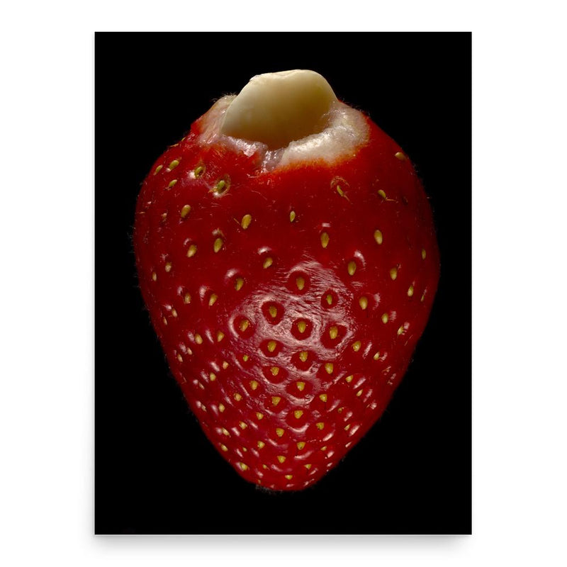 Clemens Wilmenrod poster print, in size 18x24 inches.