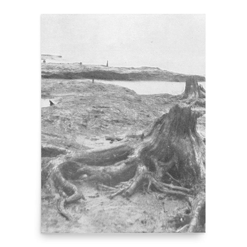 Clement Reid poster print, in size 18x24 inches.