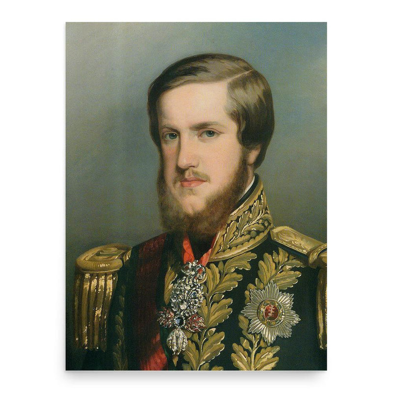 Consolidation of Pedro II of Brazil poster print, in size 18x24 inches.