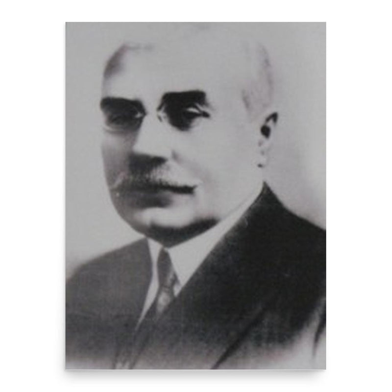 Constantin Angelescu poster print, in size 18x24 inches.