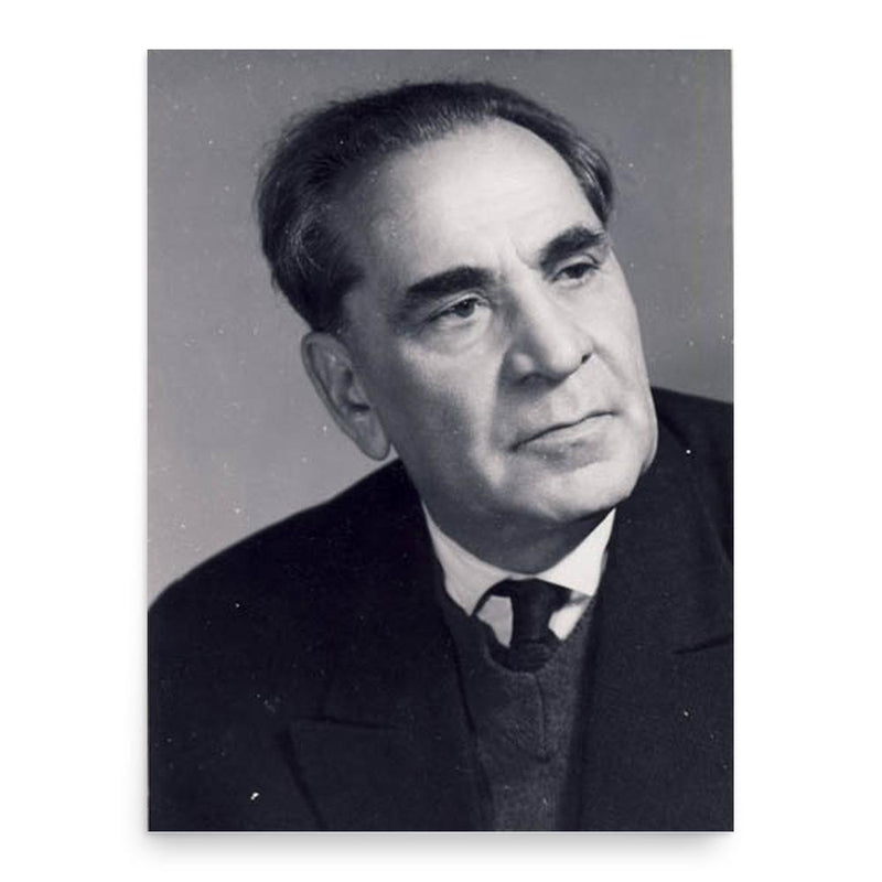 Constantin Daicoviciu poster print, in size 18x24 inches.