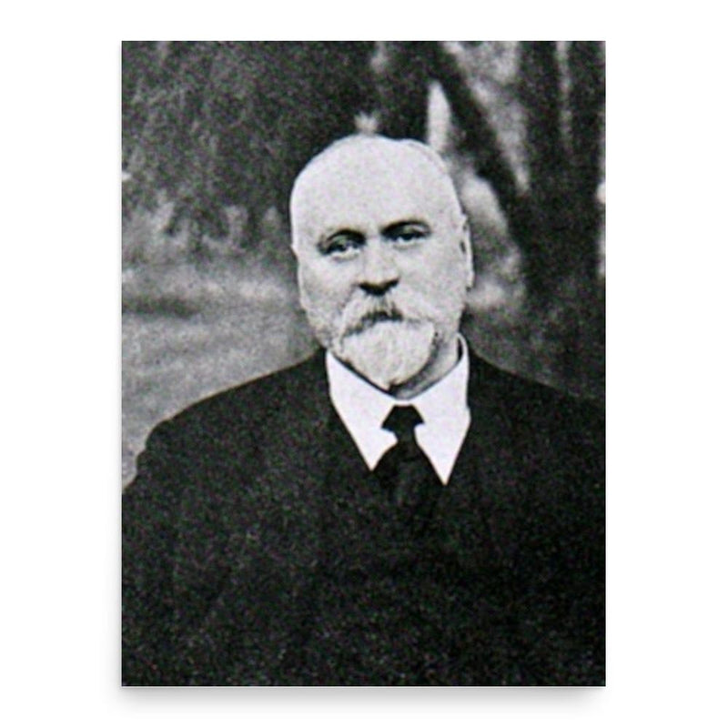 Constantin Sandu-Aldea poster print, in size 18x24 inches.