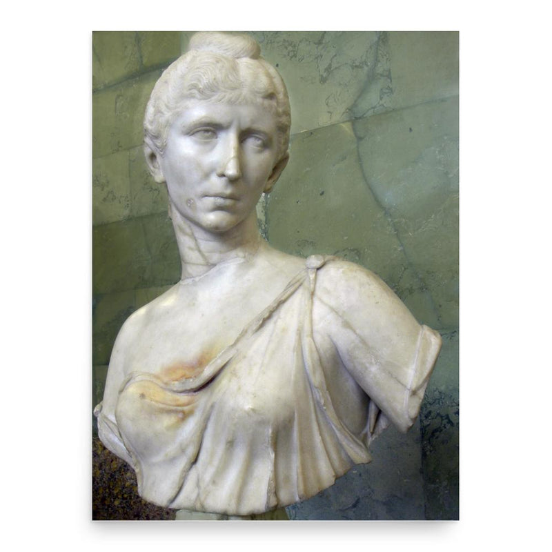 Cornelia Salonina poster print, in size 18x24 inches.